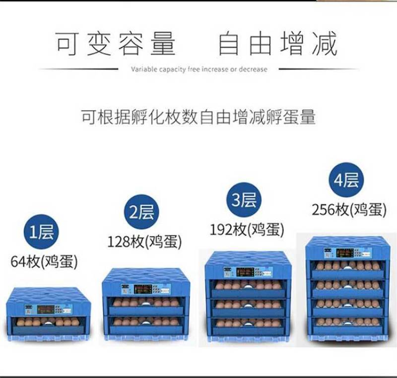 孵化设备微型家用孵化机智能孵化器鸡鸭鹅孵蛋器【一件代发】