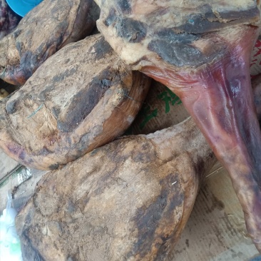 云南景东无量山火腿_三年老火腿_整只