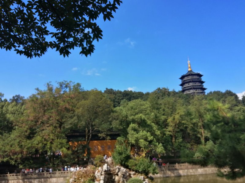 黄桃千亩桃园待售