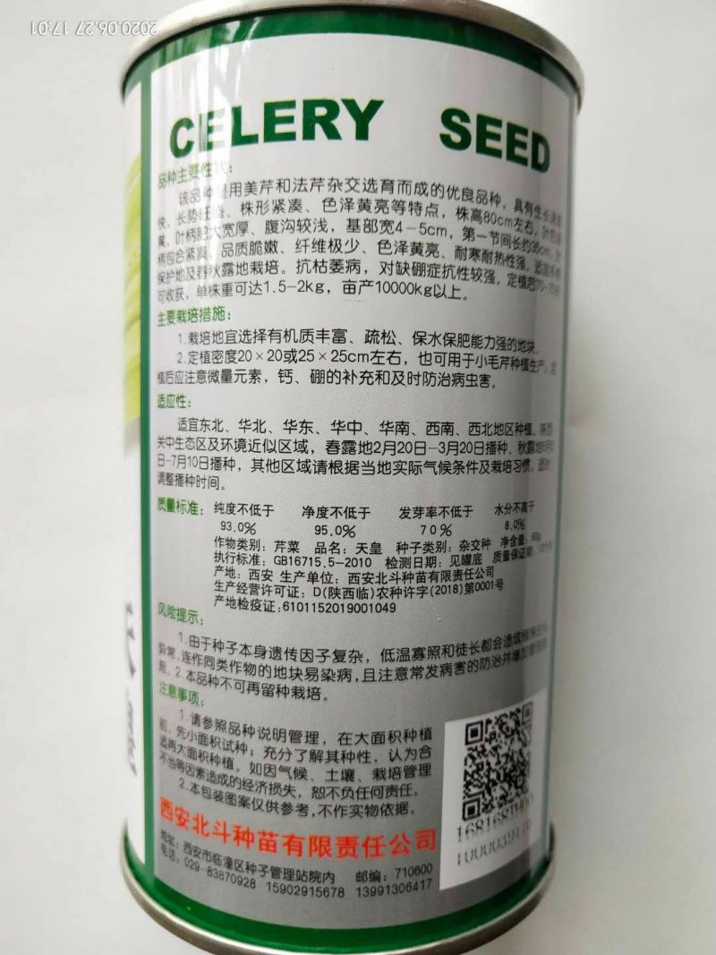 芹菜种子四季播小香芹菜种子，西芹种子大田用种