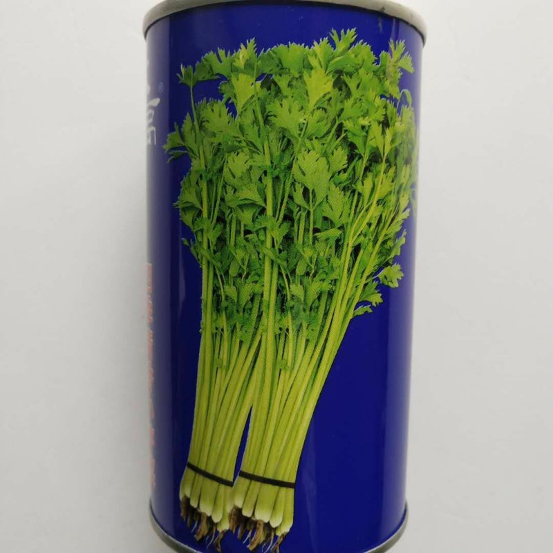 芹菜种子四季播小香芹菜种子，西芹种子大田用种
