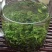 上犹县五指峰手工绿茶