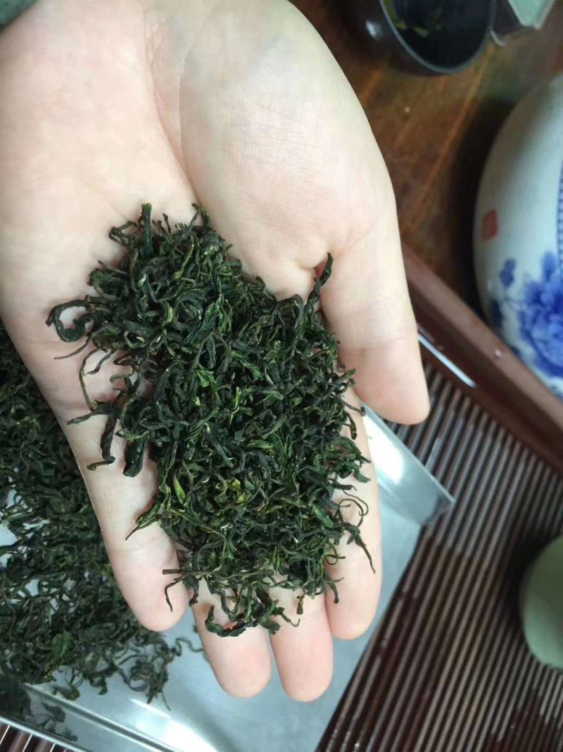 上犹县五指峰手工绿茶