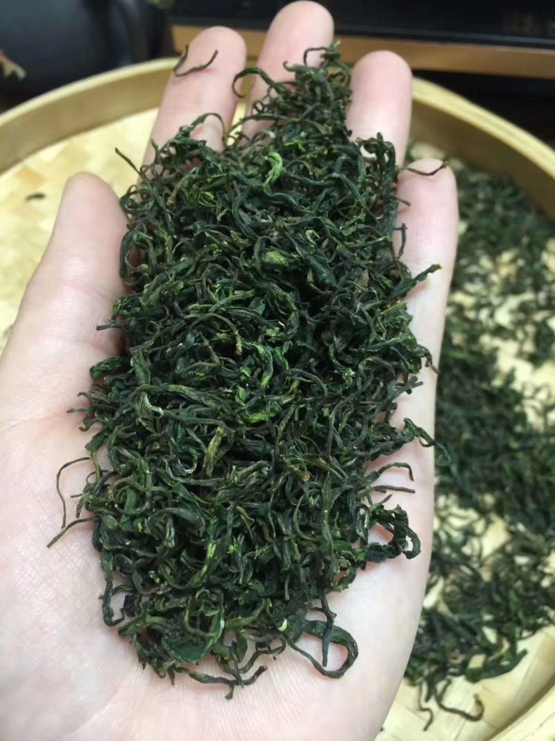 上犹县五指峰手工绿茶