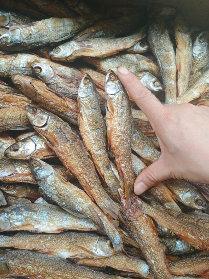 刁子鱼，火焙鱼干学校，批发商，餐饮，砂锅饭，超市，走江湖