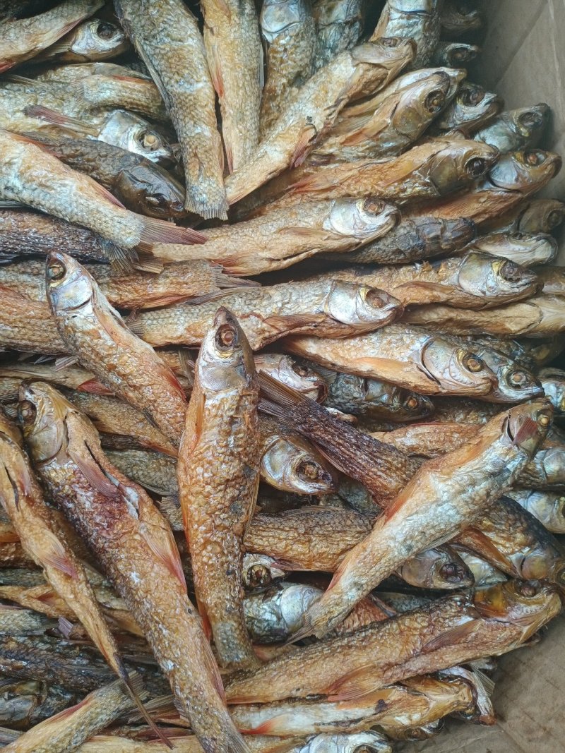 刁子鱼，火焙鱼干学校，批发商，餐饮，砂锅饭，超市，走江湖