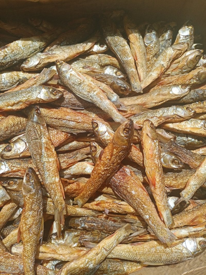 刁子鱼，火焙鱼干学校，批发商，餐饮，砂锅饭，超市，走江湖