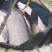 乌青（青鱼）10-15斤江浙沪垂钓配送服务
