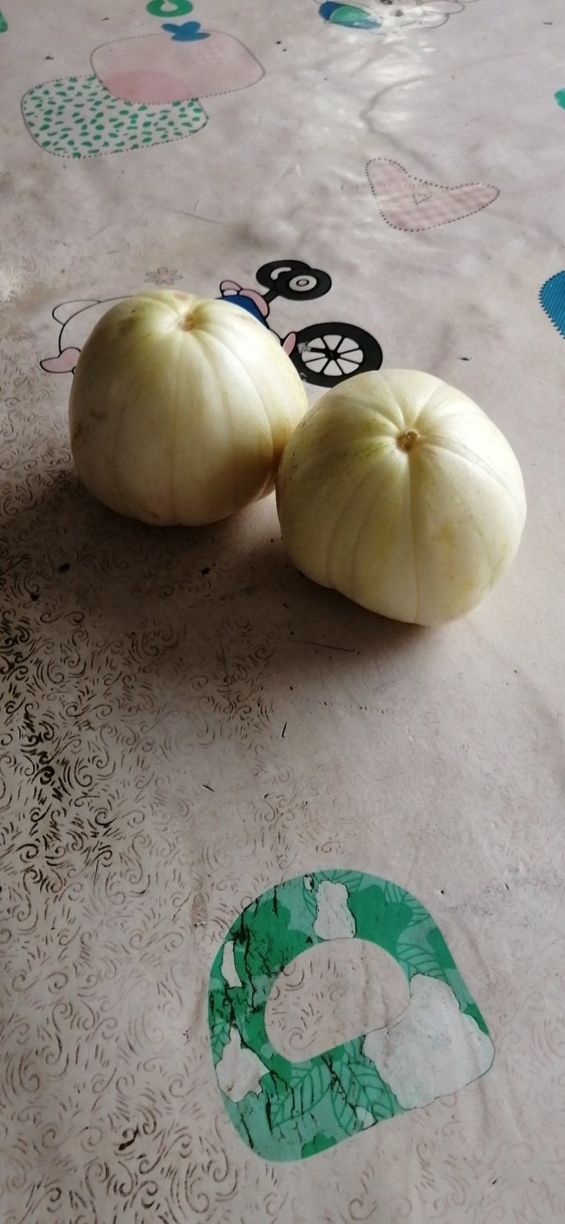 吉林香瓜