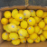 柠檬🍋