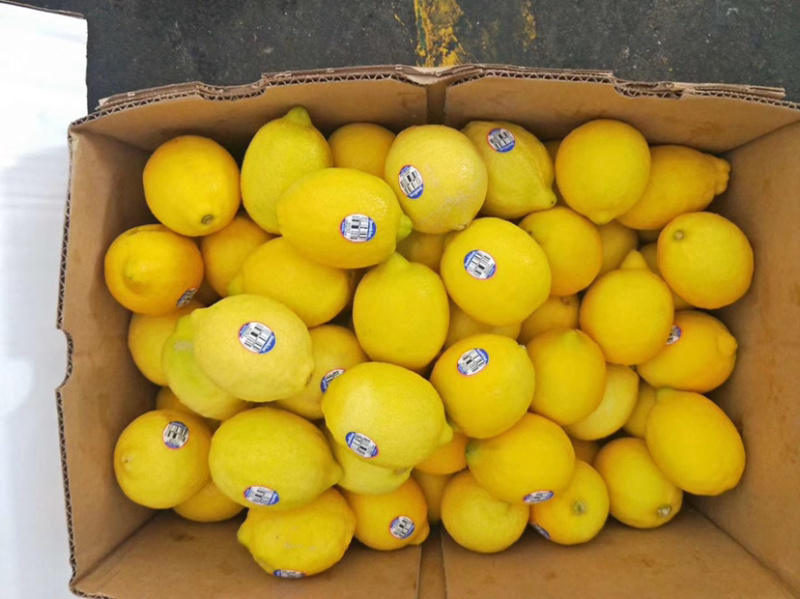 柠檬🍋
