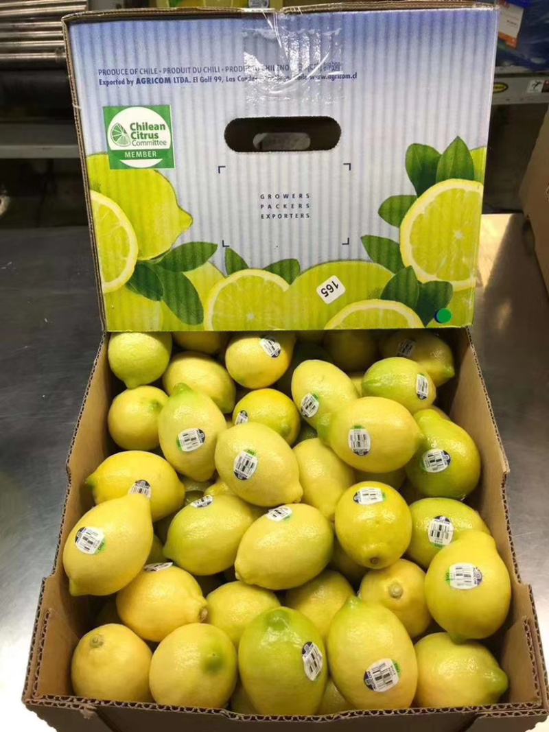 柠檬🍋