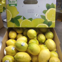 柠檬🍋