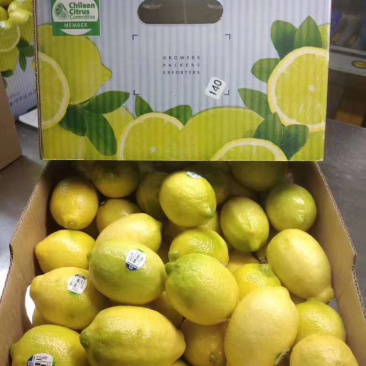 柠檬🍋