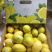柠檬🍋