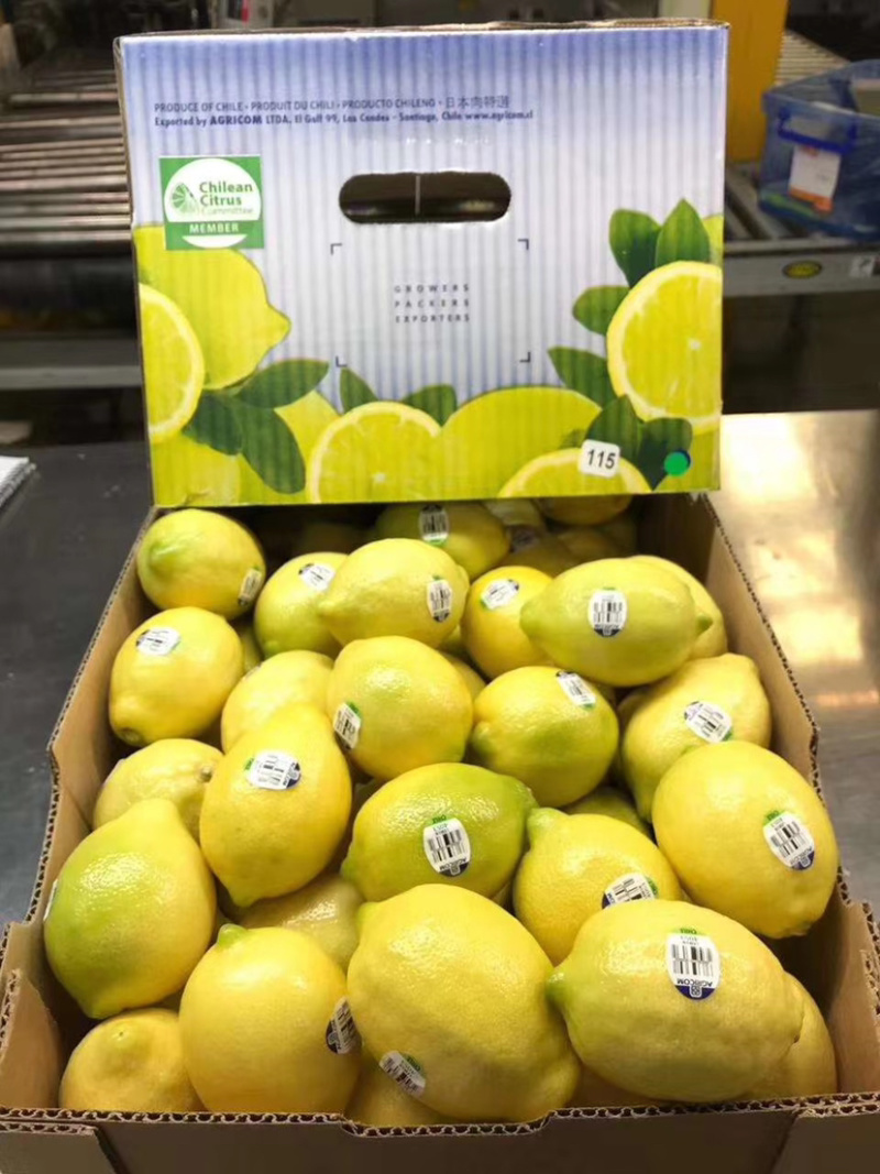 柠檬🍋