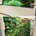 室内植物墙花盆模块式垂直绿化盆立体组合壁挂盆免打孔