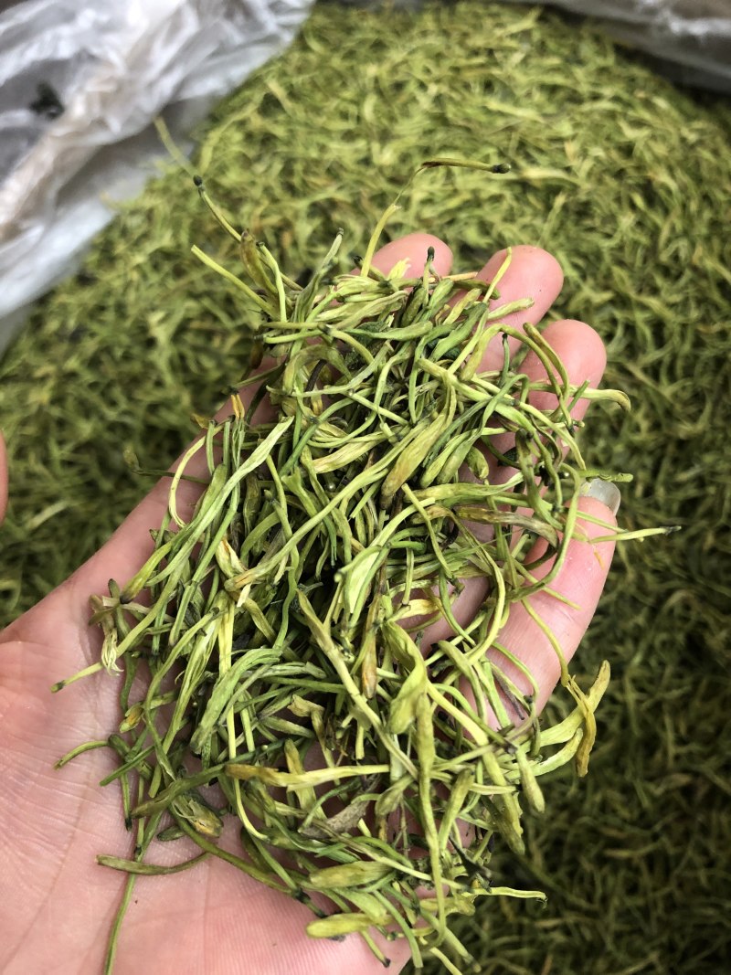 金银花，山东金银花，云南金银花，支持一件代发
