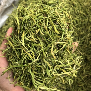 金银花，山东金银花，云南金银花，支持一件代发