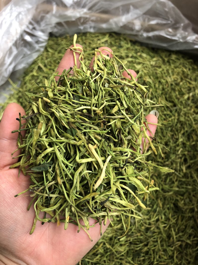 金银花，山东金银花，云南金银花，支持一件代发