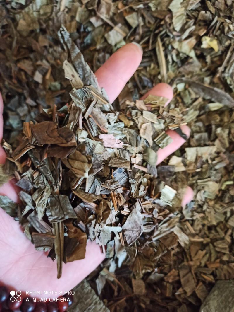 七星剑三叉剑金桃叶金鸡脚鹅掌金星草大量批发