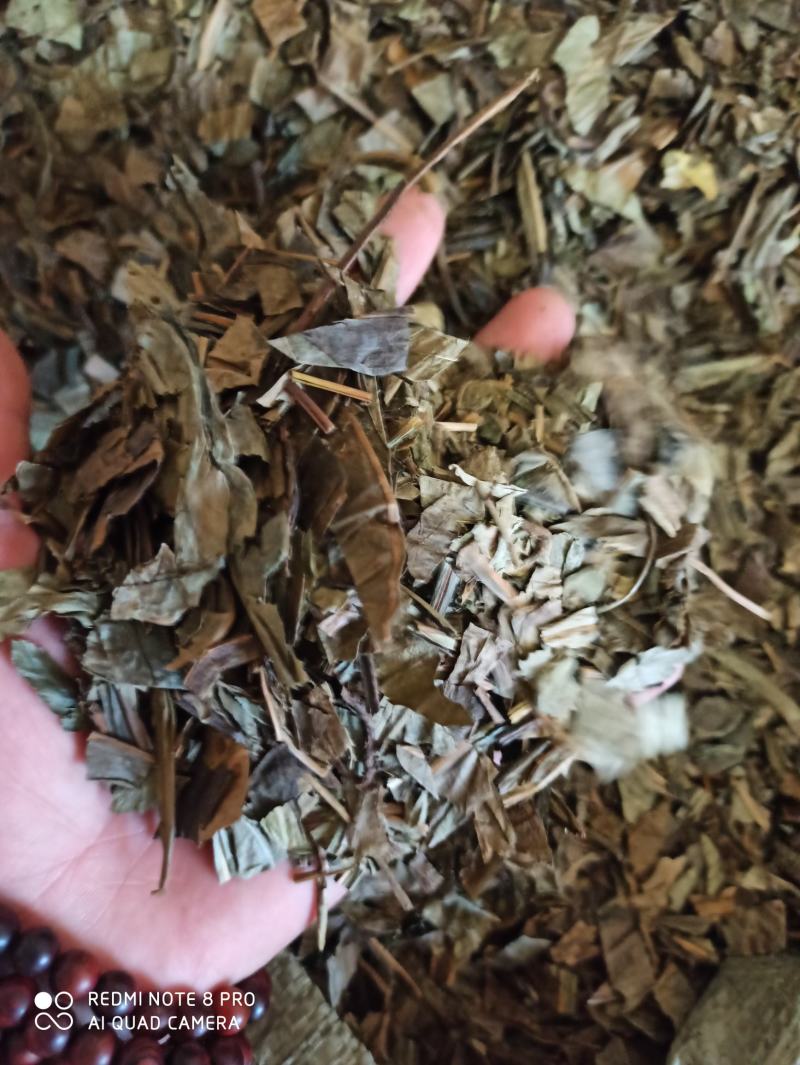 七星剑三叉剑金桃叶金鸡脚鹅掌金星草大量批发
