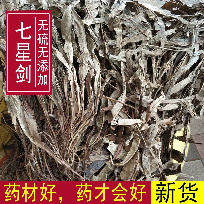 七星剑三叉剑金桃叶金鸡脚鹅掌金星草大量批发