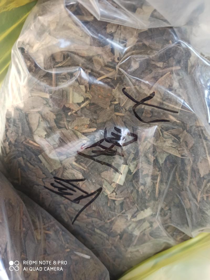 七星剑三叉剑金桃叶金鸡脚鹅掌金星草大量批发