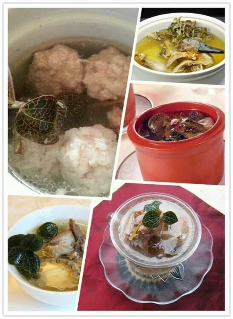 金线莲