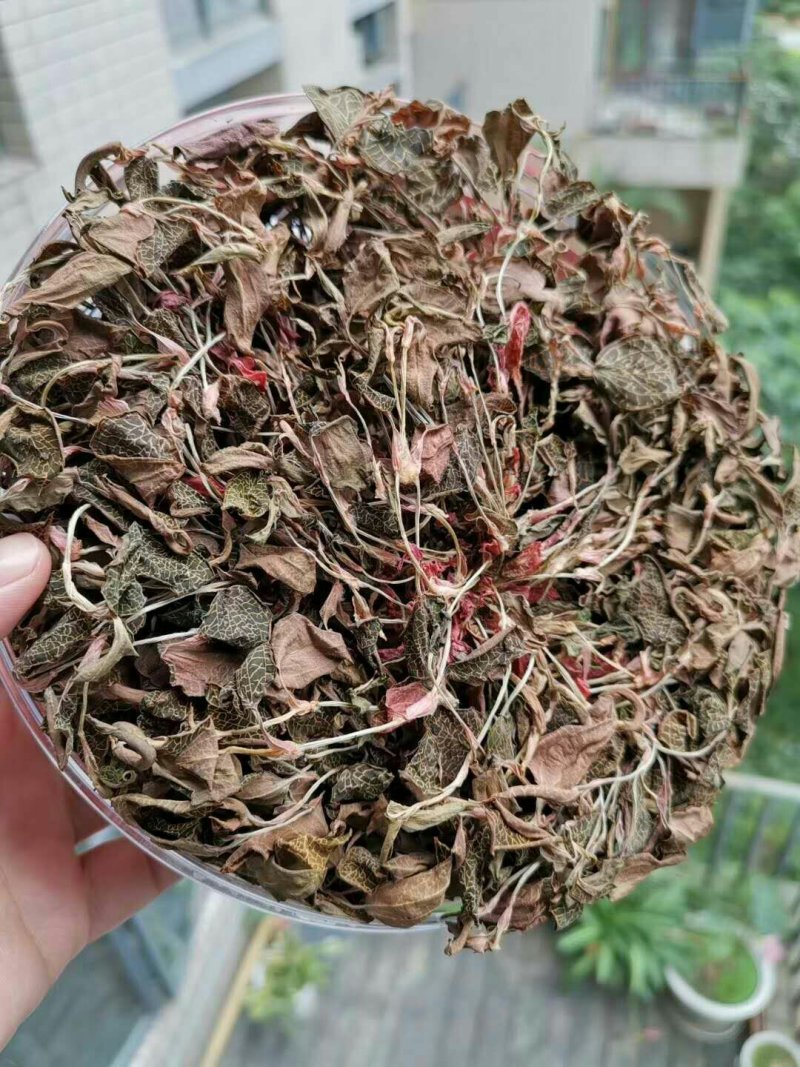 金线莲