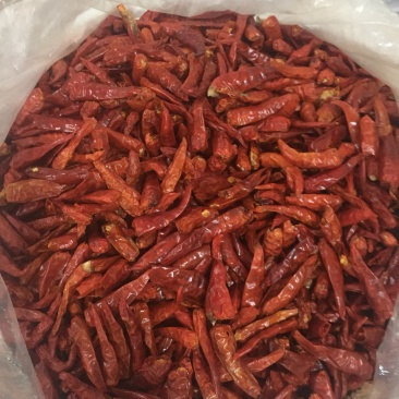 越南小米椒，优质干小米椒特辣