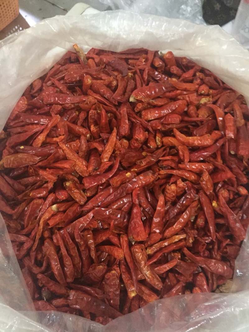 越南小米椒，优质干小米椒特辣