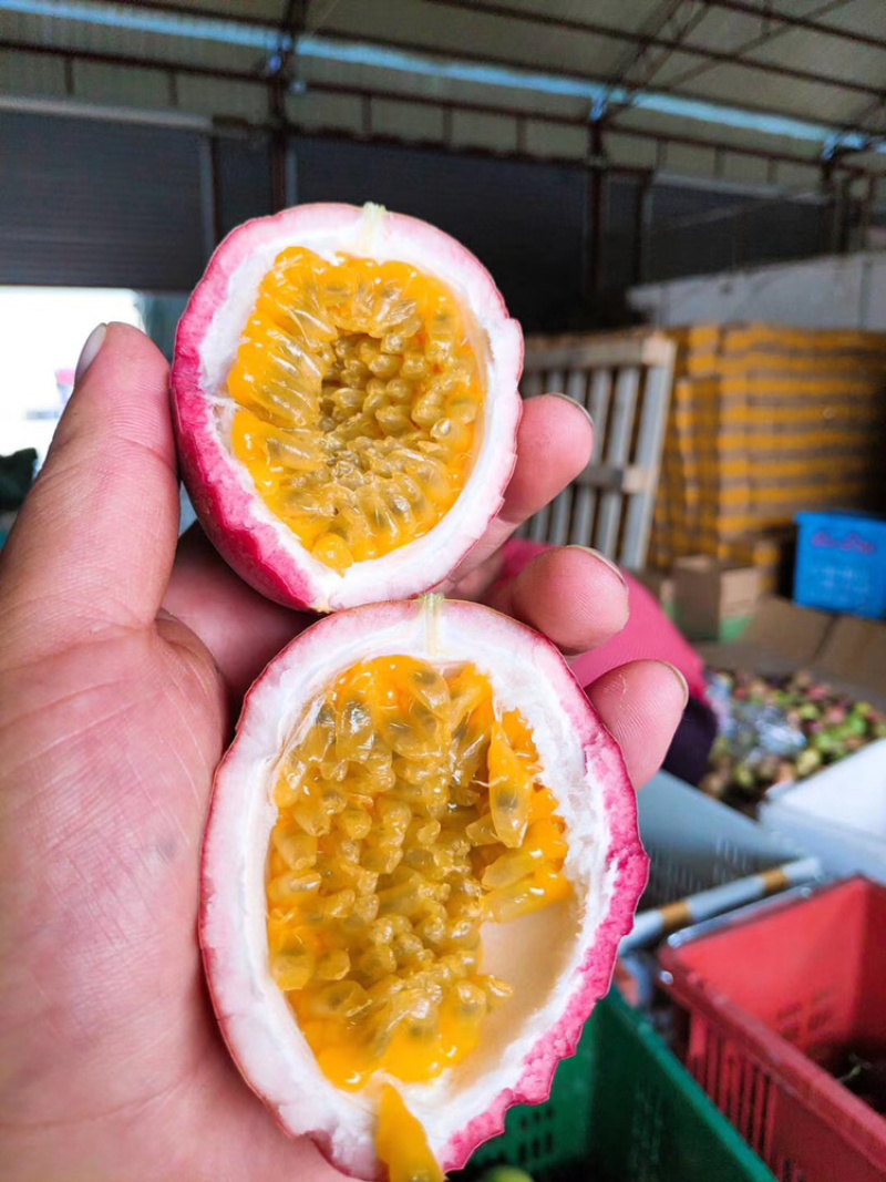 广西容县百香果想吃早点来