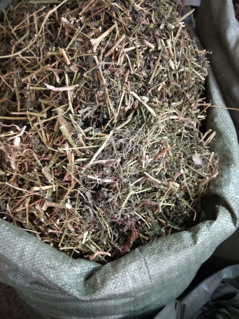 龙葵可打粉各种规格中药专营保证品质
