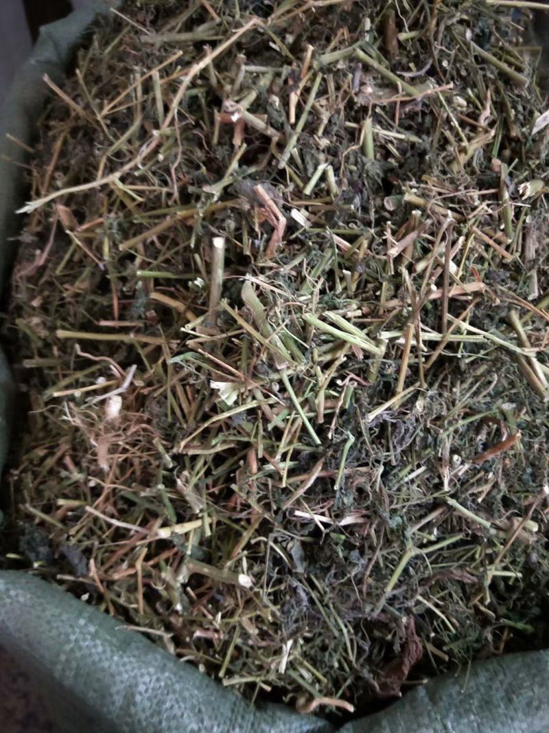 龙葵可打粉各种规格中药专营保证品质
