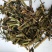 龙葵可打粉各种规格中药专营保证品质