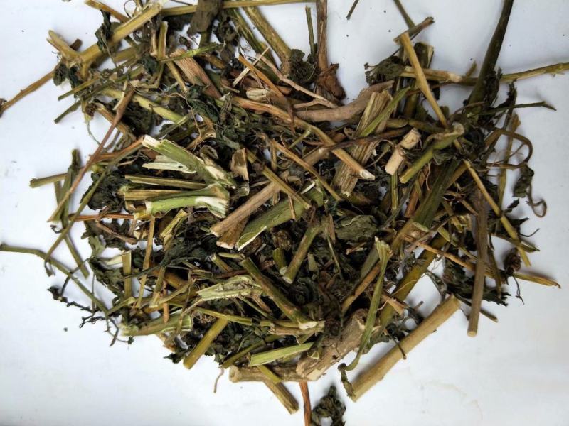 龙葵可打粉各种规格中药专营保证品质