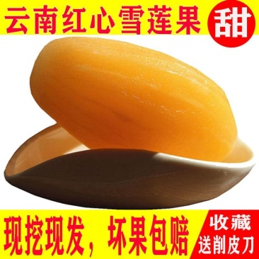 云南天山雪莲果新鲜包邮10斤红色现挖水果红心特级9斤