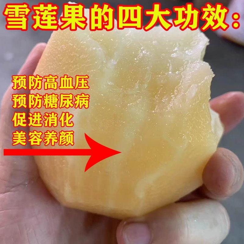 云南天山雪莲果新鲜包邮10斤红色现挖水果红心特级9斤