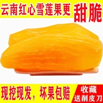 云南天山雪莲果新鲜孕妇水果3斤5斤10斤特价红心现挖