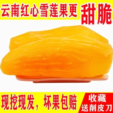 云南天山雪莲果新鲜孕妇水果3斤5斤10斤特价红心现挖包邮