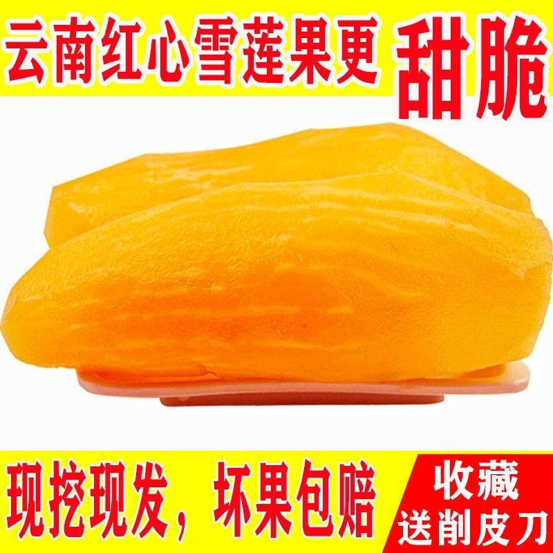 云南天山雪莲果新鲜孕妇水果3斤5斤10斤特价红心现挖包邮