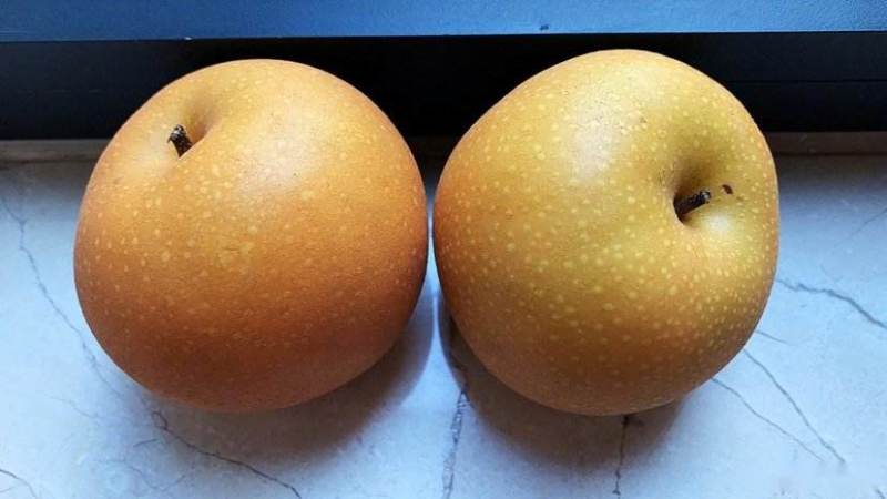 【供应】秋月梨代收加工/量大质优/承接各大平台商超批发商