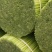 韭菜花规格38cm以下(靓中花)
