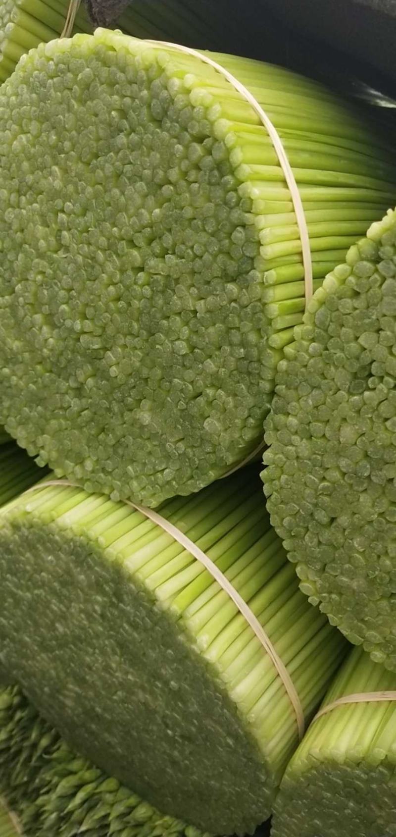 韭菜花规格38cm以下(靓中花)