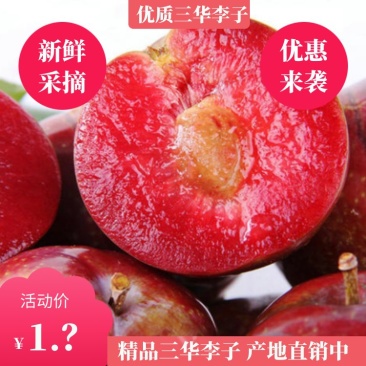 精品三华李★广东产地✔一手货源现摘现发价格公道