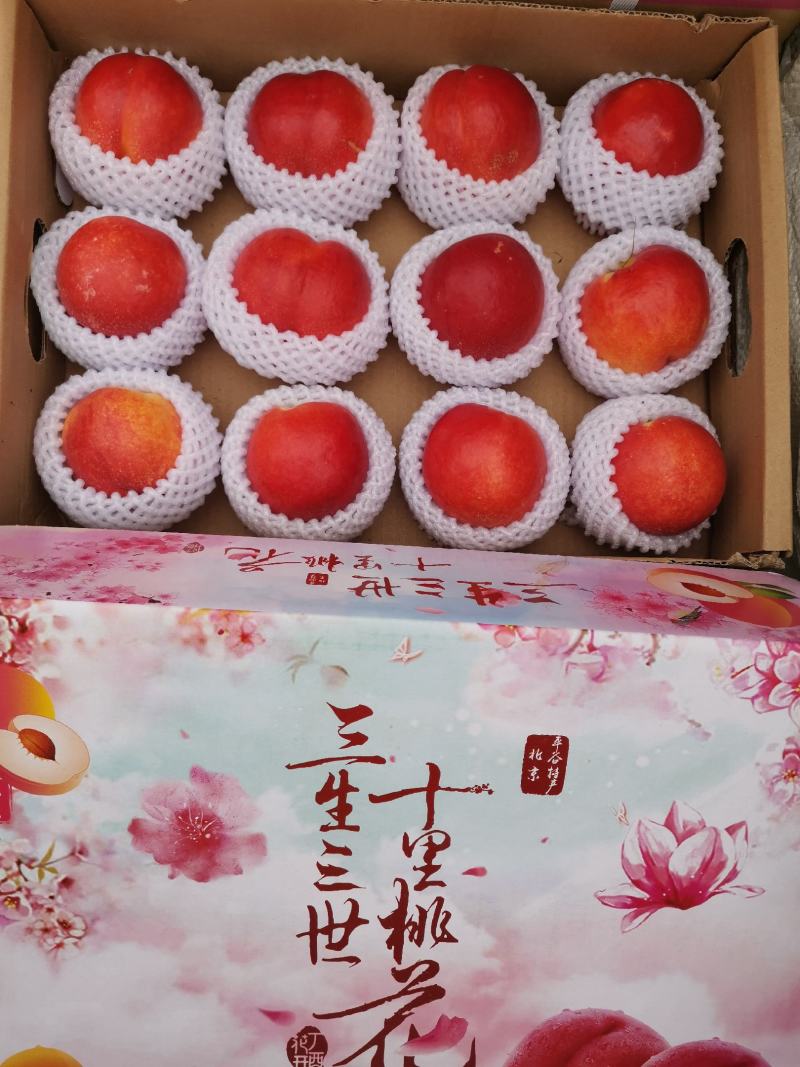平谷澳油黄油桃