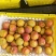 【精品】新疆吊干杏产地直销货源充足口感佳欢迎咨询