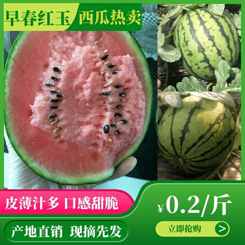【优质】全美2K西瓜生瓜包退-产地直供-电商、商超
