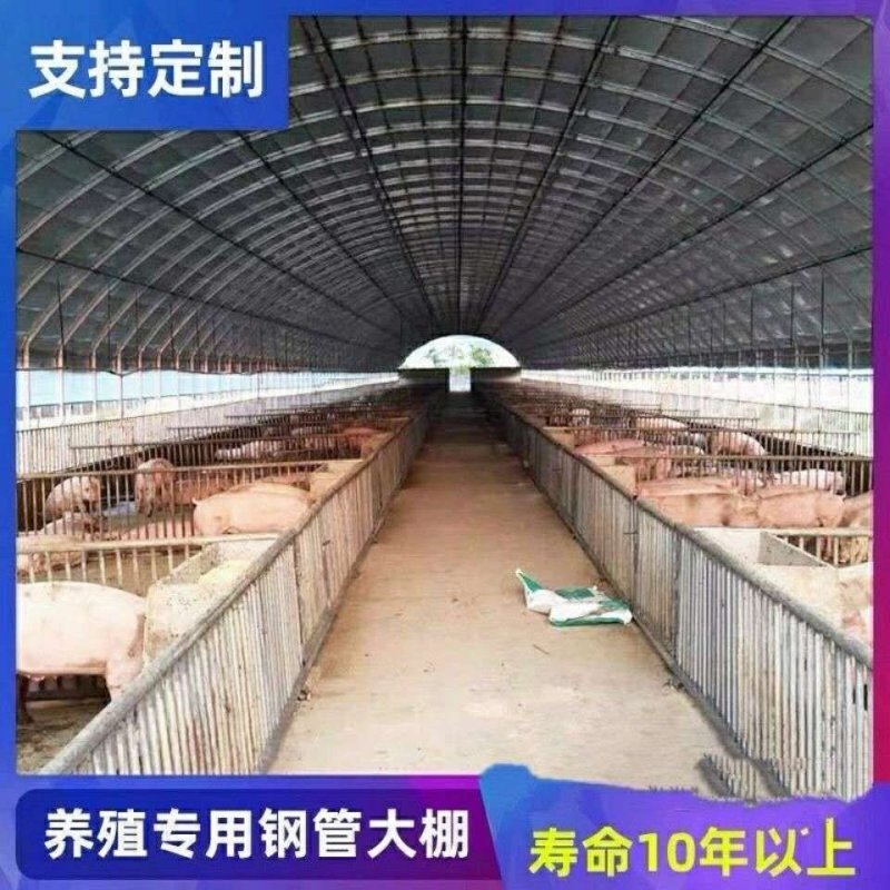 养殖专用，椭圆管，椭圆管包塑生产在线中，欢迎加单[勾引]